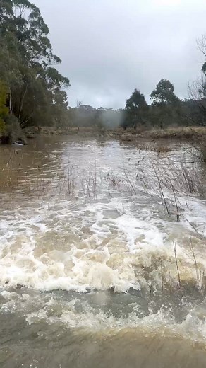 EERIE CAR SIGHTING | Spikes Fishing