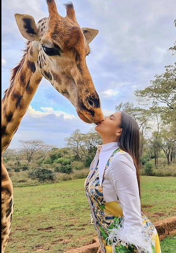 ¿Te ateves? 📍Kenia🇰🇪 #Jirafa #Jiraffe | keniaontiveros