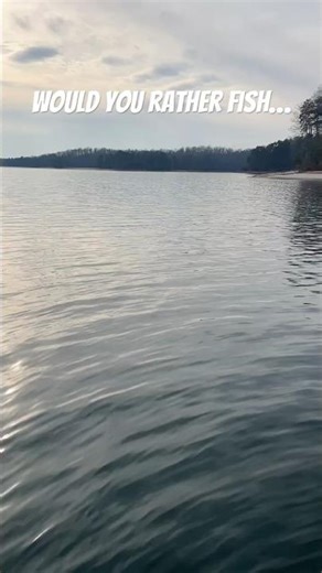 Saltwater all day!!! #fishing #bassfishing #oceanfishing #viral #bigbass #fypfishing #bottomfishing