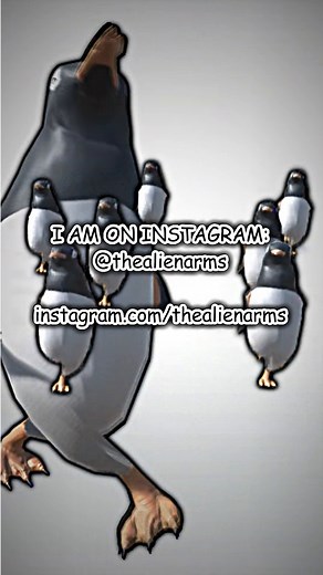 🐧🐧🐧🐧🐧🐧🐧🐧🐧🐧🐧🐧🐧🐧🐧🐧🐧🐧🐧🐧🐧🐧🐧🐧🐧🐧🐧🐧🐧🐧🐧🐧🐧🐧🐧🐧🐧🐧🐧🐧🐧🐧🐧🐧🐧🐧🐧🐧🐧🐧🐧🐧🐧🐧🐧🐧🐧🐧🐧🐧🐧🐧🐧🐧🐧🐧🐧🐧🐧🐧🐧🐧🐧🐧🐧🐧🐧🐧🐧🐧🐧🐧🐧🐧🐧🐧🐧🐧🐧🐧🐧🐧🐧🐧🐧🐧🐧🐧🐧