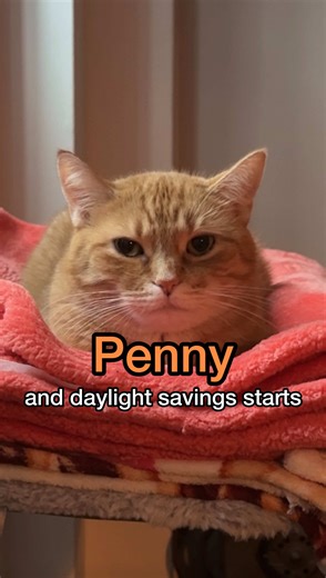 eye twitch activated