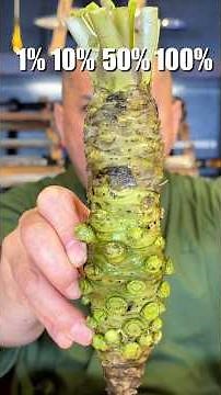 How Much Wasabi Tastes Best?