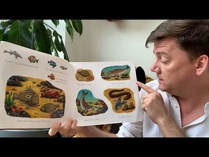 Let's read: Tiddler the story telling fish | Fun story for children