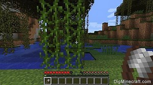 Top 5 uses of vines in Minecraft