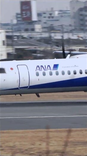 【大阪伊丹空港】ANA DHC8 Q400 JA842A 着陸 #shots