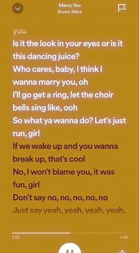 Bruno Mars Marry Me Lyrics