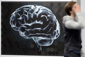 Le Human Brain Project entre dans sa phase opérationnelle | RTS