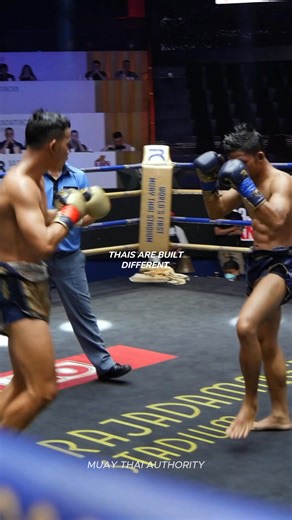 32K views · 699 reactions | Muay Mat style  Muay Mat warriors are the heavy-handed brawlers of Muay Thai — relentless pressure fighters who live and die by their fists. Known for explosive punches, forward aggression, and the ability to end a fight in a single exchange, they bring knockout power and chaos every time they step into the ring. #muaythai #muaythaifighter #muaythaitraining | Muay Thai Authority | Facebook