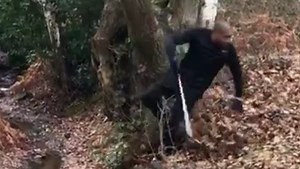 Watch: Stoke's Glen Johnson fails at golf