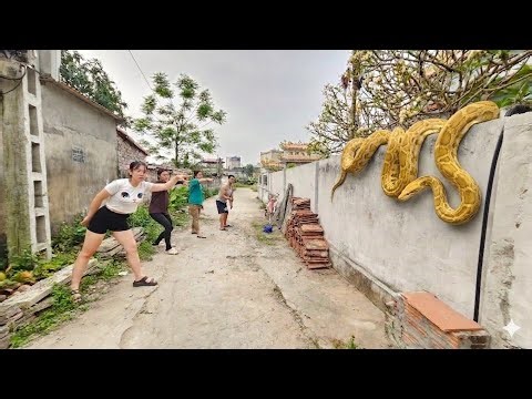 Two Brave Soldiers Rescue Their Sister from a Giant White Python