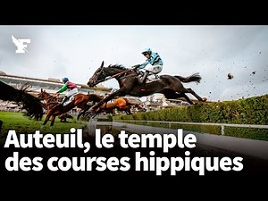 Auteuil: au cœur des courses hippiques