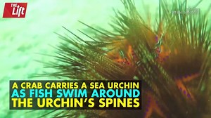 28K views · 737 reactions | A peculiar sight off the coast of Bali | The Weather Channel | Facebook