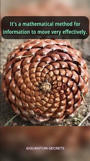 What Happens to Fibonacci at Infinity? 🤯 The Golden Ratio Explained!
