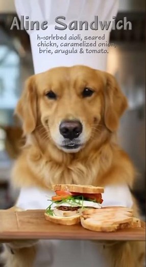 “Dog Chef Makes an ALIEN Sandwich 👨‍🍳🐶🛸 | You’ve Never Seen Anything Like This!”