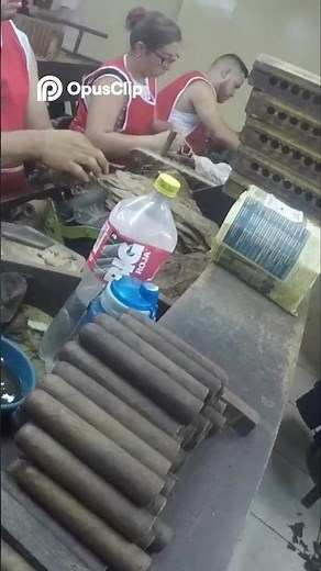 Cigar Rolling Tutorial: Expert Techniques & Easy Steps