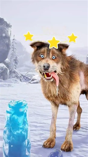 LOBO Atrapalhado QUASE PERDEU A LINGUA! 😱🐺😂