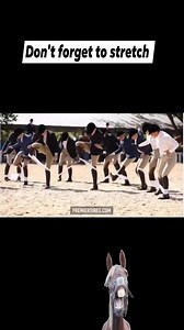 I love this, it's a brilliant reminder to have fun & don't forget to stretch before exercising 😆 🤣 🐴 #horsingaround #horseriding #donttakelifetooseriously I don't own the video or music | Suzanne Prince