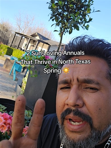 Reliable Spring Color Starts With These 👍 #springcolors #gerarium #petunia #springannuals #planterdesign