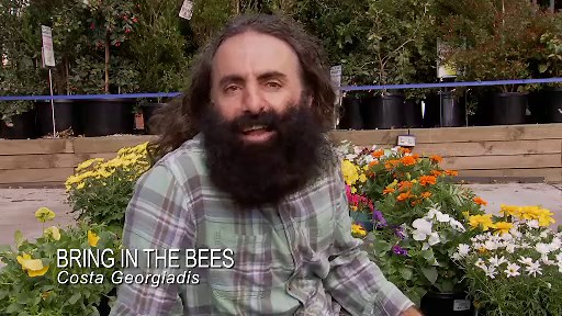 Bring in the Bees - Gardening Australia