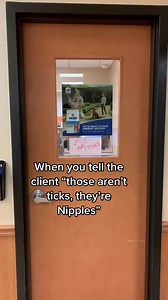 PSA: male dogs have nips, too. 😅 | Dr. Matt McGlasson
