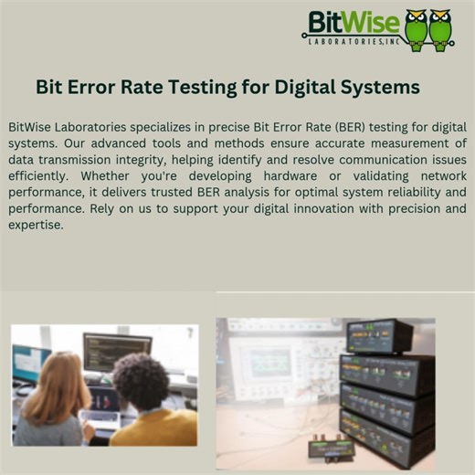 Bit Error Rate Testing for Digital Systems