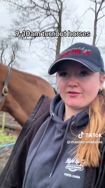 Experience a Day as a Stable Hand on a Livery Yard