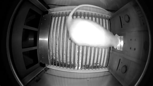 触摸屏行为操作箱获得奖赏（operant box）