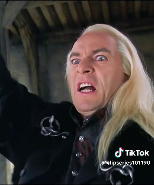 Harry Potter: Freeing Dobby Scene and Best Moments