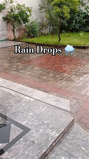 Rain Drops 🌧️ #rainsounds #weather #barish #shorts