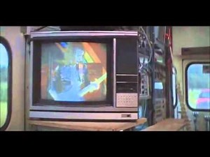 IT'S THE WONDER OF NATURE BABY