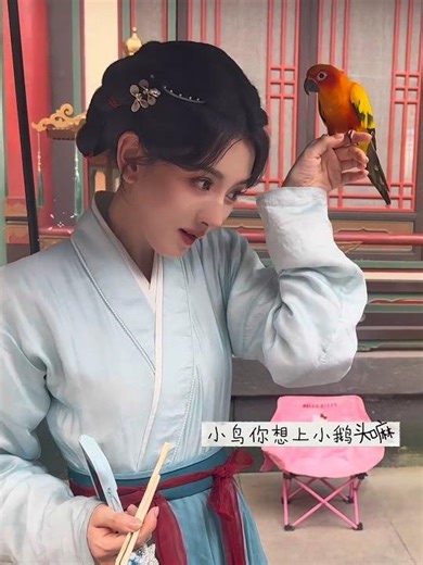 宋祖儿♡养鹅的日常live●「关于」孙小鹅的一天🥢🎨🐦💃