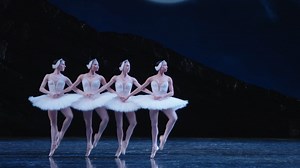 481K views · 14K reactions | One of everyone's favorite moments in the classical ballet canon, the 4 Little Swans will be dancing under the stars at Stanford Live next Friday and Saturday. https://bit.ly/447QyQE | San Francisco Ballet | Facebook