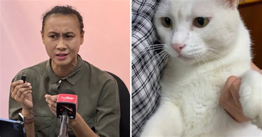 Autopsy Report Suggests UM Cat Killed by Sharp Object, Contradicting Police Statement