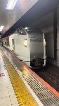 前の後ろも新宿行きの成田エクスプレス 東京駅到着