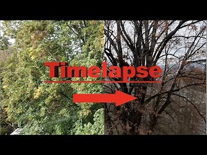 Fall season - Time lapse (free to use)