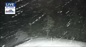 2.2K views · 240 reactions | (6:15 A.M.) It’s dumpin on Mt. Hood! Check out our Mt. Hood Skibowl cam at about 5,000 feet. Love to see it! ❄️ ❄️ ❄️ | Meteorologist Jeff Forgeron | Facebook