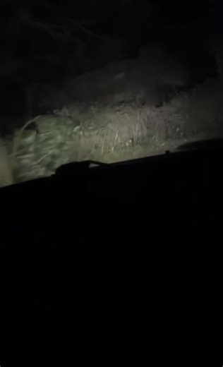 Cupra Police Car Chase