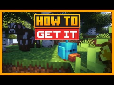 HOW TO USE Birt and their Nests in MINECRAFT with Species