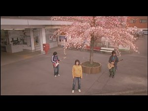 Lời dịch bài hát Sakura - Ikimono Gakari