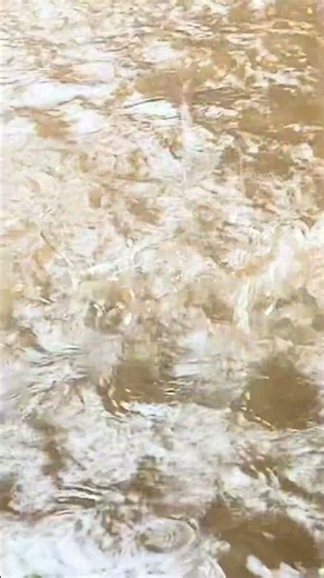 🌿 Gentle Rainfall to Help You Relax #Shorts