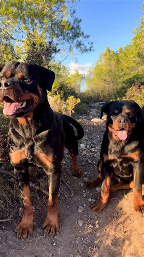 Videos de gaabriel_pn (@gaabriel_perez) con “sonido original - ale fernandez”