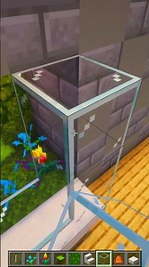 Minecraft Frog Terrarium