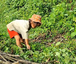 38K views · 396 reactions | Baby Anh survives in a cave and finds food for himself | Homeless orphans | Facebook