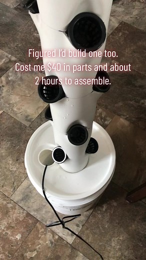 Seen so many of these lately I had to build one. 4” pvc, bucket, pump and some net pots. Easy peasy. Comment if you want a tutorial. #selfreliance #diy #gardening #hydroponics #growyourownfood