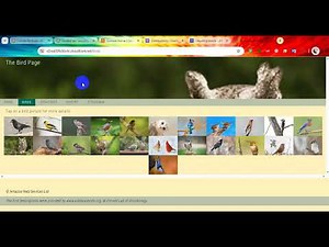 Module 9 - Guided lab - Securing Applications by using Amazon Cognito