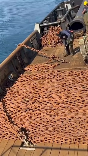 Exploring the Thrilling Life at Sea