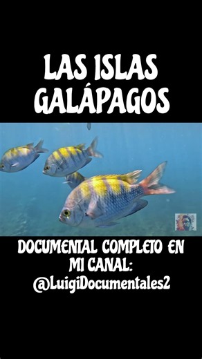 LAS ISLAS GALÁPAGOS: EL PARAÍSO QUE CAMBIÓ NUESTRA FORMA DE ENTENDER LA VIDA