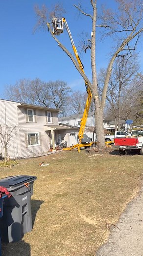 Call today !! Anything you need done ✅ | Durfey’s Total Tree Services