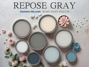 Repose Gray Sherwin Williams Home Paint Palette Whole House Color Scheme Guide Interior Design Renovation Decor Versatile Neutral Wall Trim - Etsy