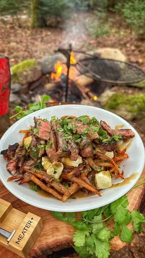 Grilled Steak Poutine in the Great Outdoors